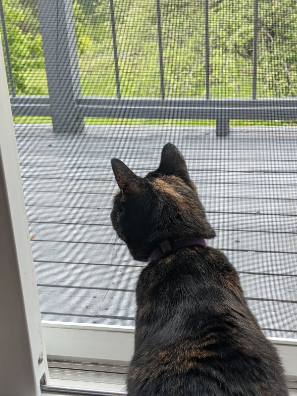 Hero for Category Page For Door Screen Service Service Locations